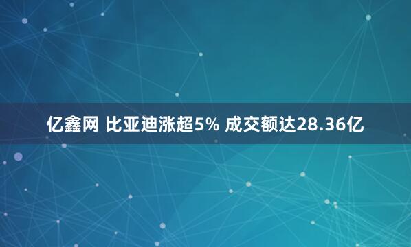 亿鑫网 比亚迪涨超5% 成交额达28.36亿