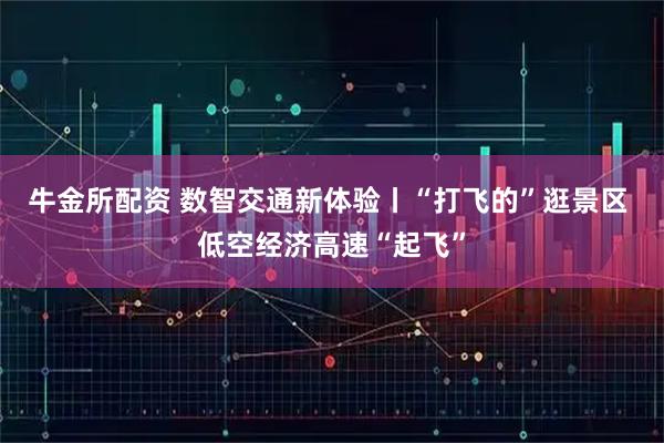 牛金所配资 数智交通新体验丨“打飞的”逛景区 低空经济高速“起飞”